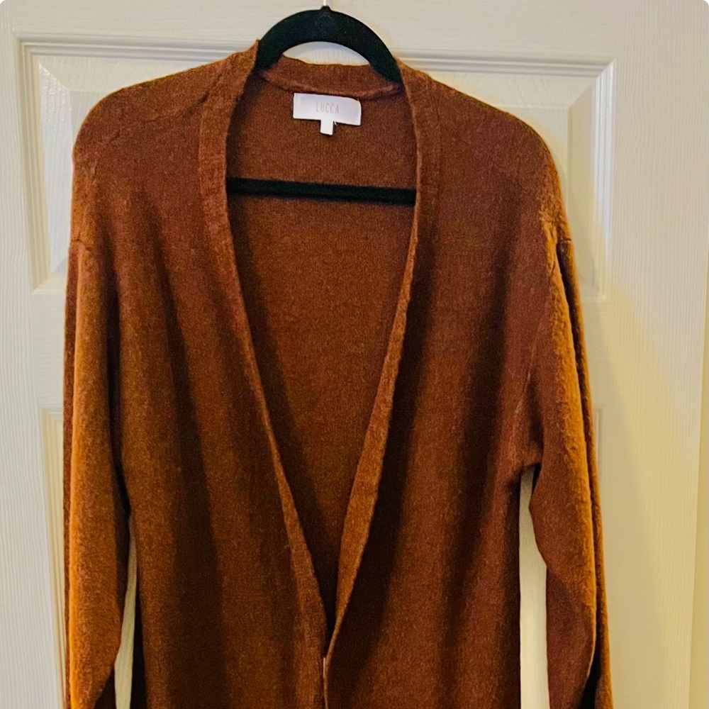 Beautiful LONG cardigan sweater, brand new without tags, never worn!